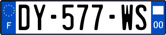 DY-577-WS