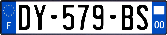 DY-579-BS