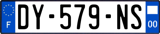 DY-579-NS