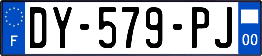 DY-579-PJ