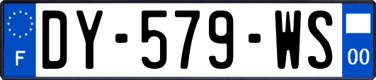 DY-579-WS