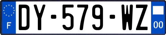 DY-579-WZ