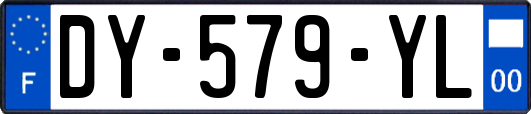 DY-579-YL