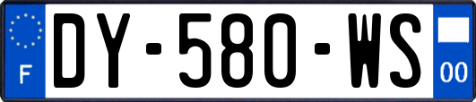 DY-580-WS