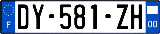 DY-581-ZH