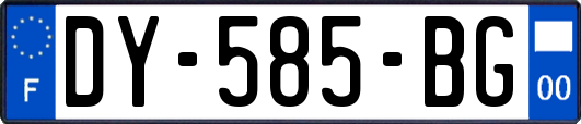 DY-585-BG