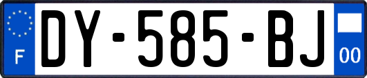 DY-585-BJ