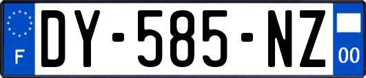 DY-585-NZ