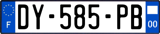 DY-585-PB