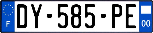 DY-585-PE