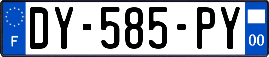 DY-585-PY