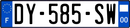 DY-585-SW