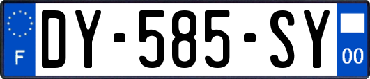 DY-585-SY