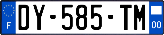 DY-585-TM