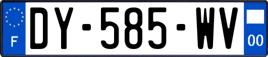 DY-585-WV