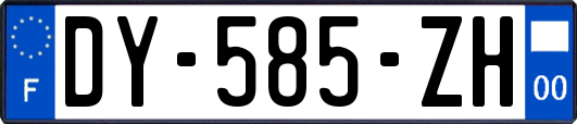 DY-585-ZH