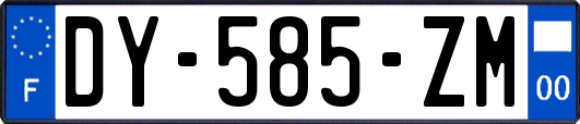 DY-585-ZM