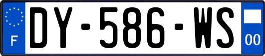 DY-586-WS