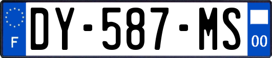 DY-587-MS