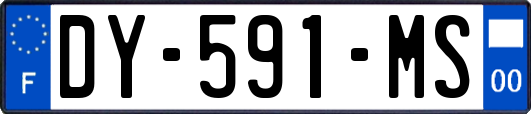 DY-591-MS