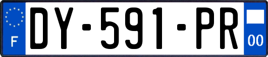DY-591-PR