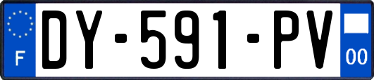 DY-591-PV