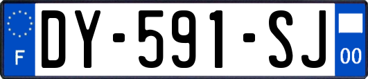 DY-591-SJ