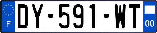 DY-591-WT