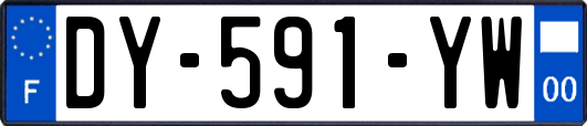 DY-591-YW