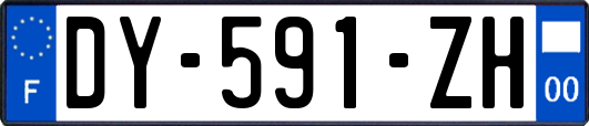 DY-591-ZH