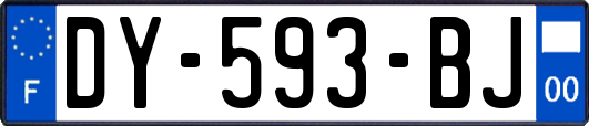 DY-593-BJ