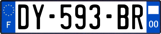 DY-593-BR