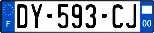 DY-593-CJ