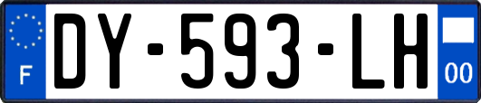 DY-593-LH