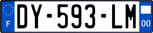 DY-593-LM