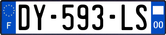 DY-593-LS