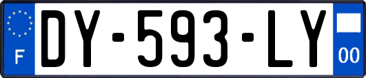 DY-593-LY