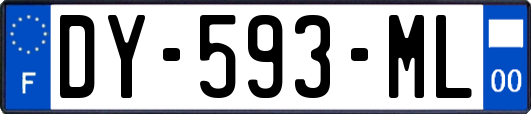 DY-593-ML