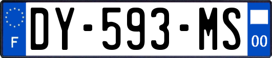 DY-593-MS
