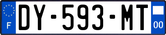 DY-593-MT