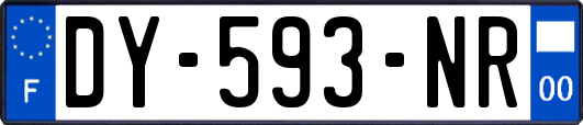 DY-593-NR