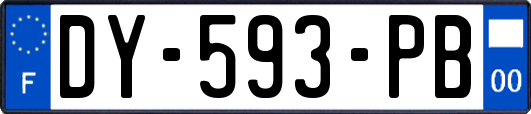 DY-593-PB