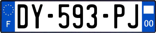 DY-593-PJ