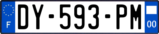 DY-593-PM