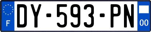 DY-593-PN
