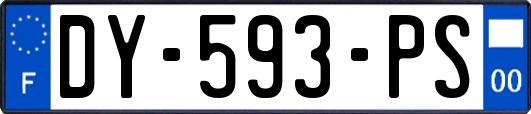 DY-593-PS