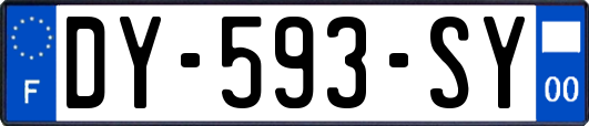 DY-593-SY