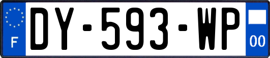 DY-593-WP