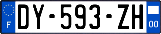 DY-593-ZH