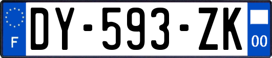 DY-593-ZK